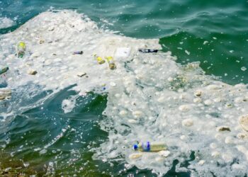 Notes from the beach – sea, sun and plastic waste.