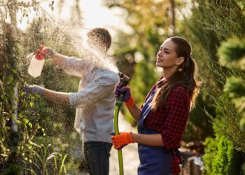 Sustainable nitrogen fertiliser startup raises $10m