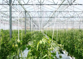 Australian agrifood investor raises $35m in seed funding