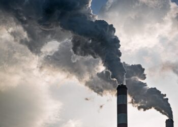 Brazil to see first Bioenergy carbon storage project