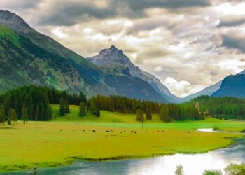 5 Minutes With…Sophia Haywood from Liquid Gas UK