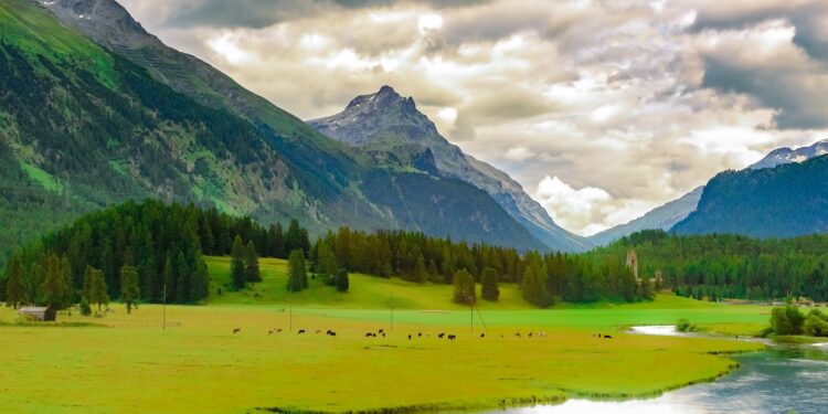 5 Minutes With…Sophia Haywood from Liquid Gas UK