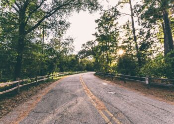 BSI publishes new natural capital guidelines