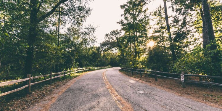 BSI publishes new natural capital guidelines