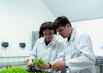 4 Sustainable Technologies To Be on the Lookout For