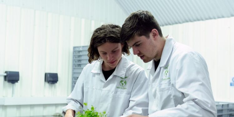 4 Sustainable Technologies To Be on the Lookout For