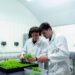 4 Sustainable Technologies To Be on the Lookout For