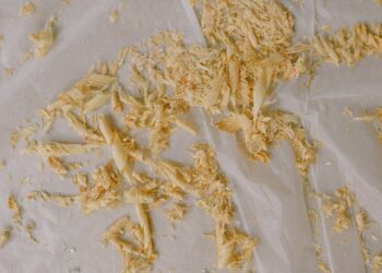 Wood Chips Could Be Key to Reducing GHG emissions