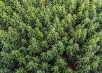 Pack4Good: A New Approach