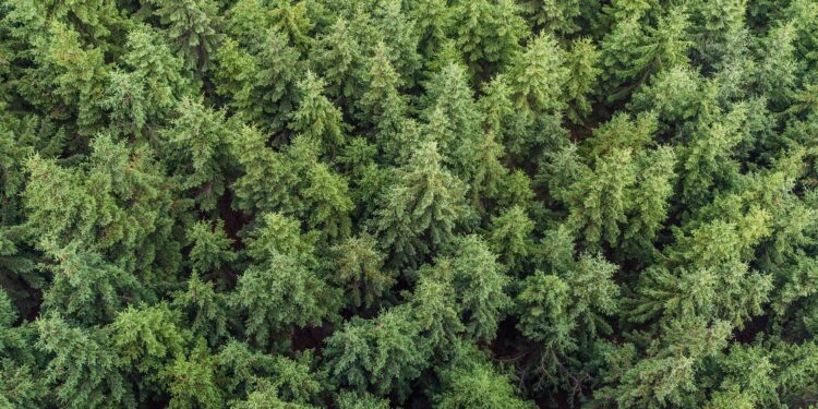 Pack4Good: A New Approach