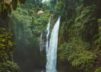 Dove Announces Biggest Investment from Beauty Brands