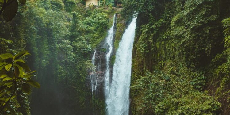 Dove Announces Biggest Investment from Beauty Brands