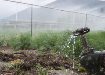 Anglian Water launches green bond scheme