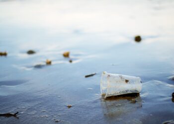 UK consumers back refillable schemes