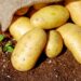 PepsiCo’s Circular Potatoes